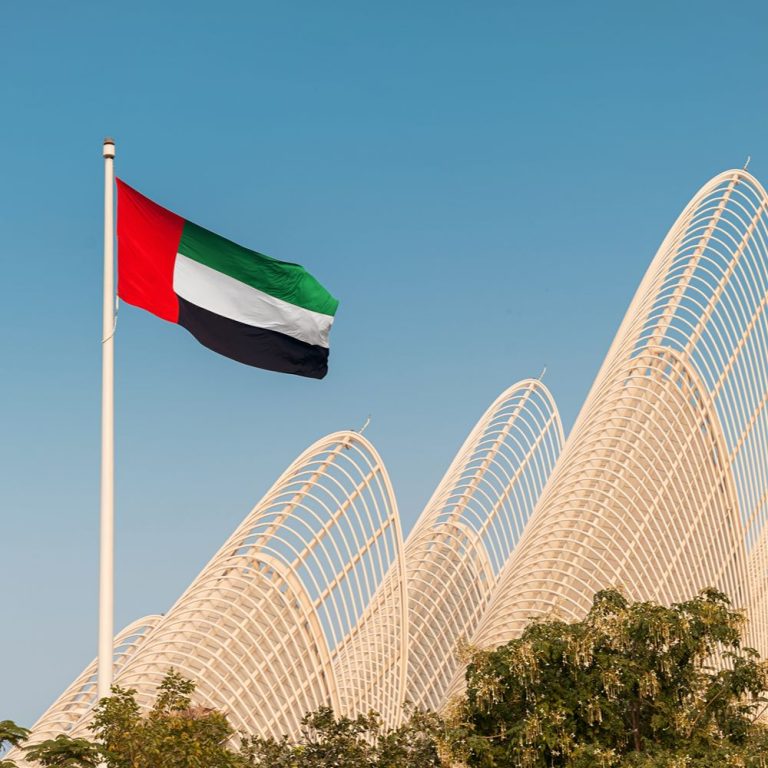 The UAE’s Supply Chain Journey